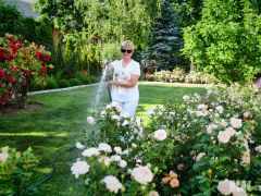 Anna-Gawlowska-2