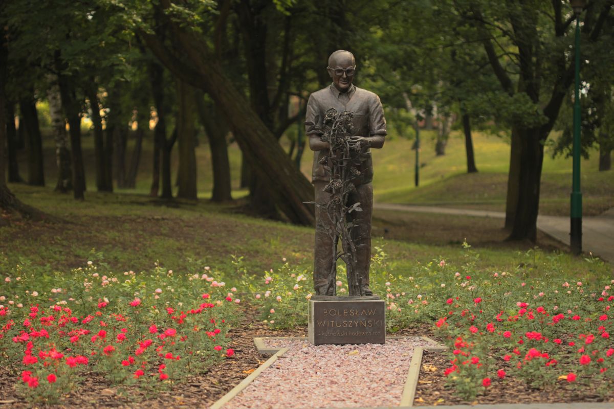 Róża Marylka i Kutno przy pomniku Bolesława Wituszyńskiego, Park Traugutta